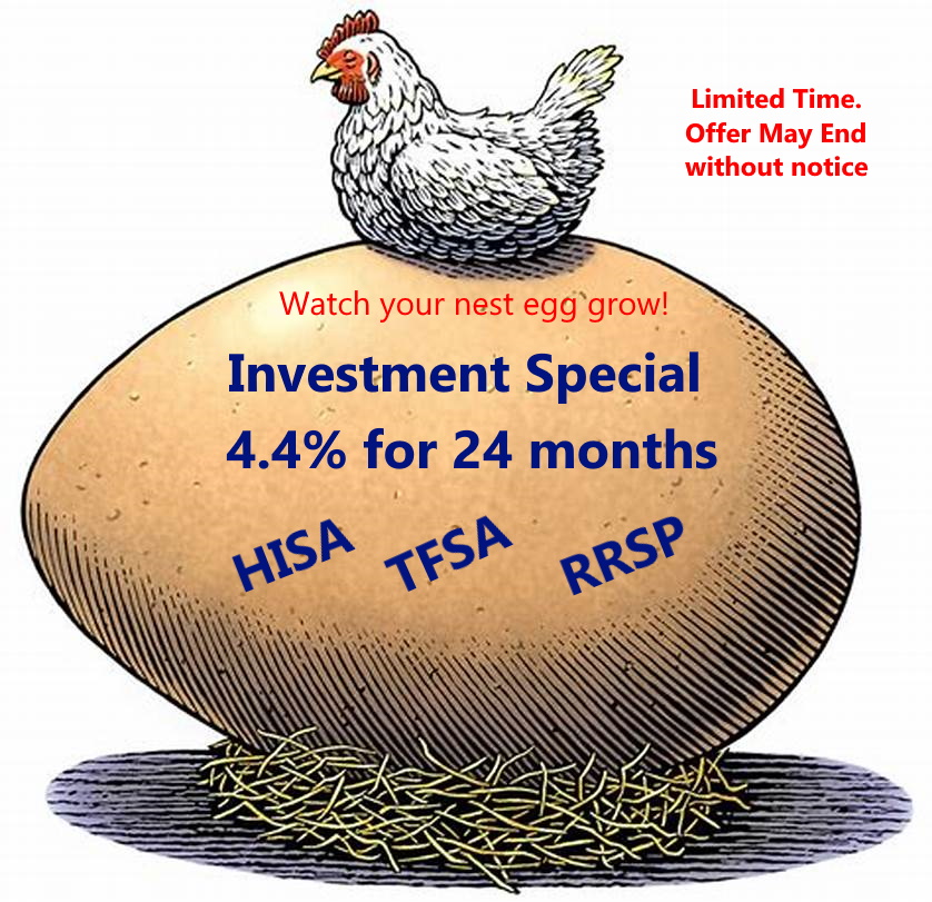Nest Egg